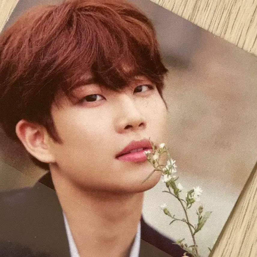 아스트로 드림파트투 드파투 앨범 양도 (WIND VER.) MJ 엠제이