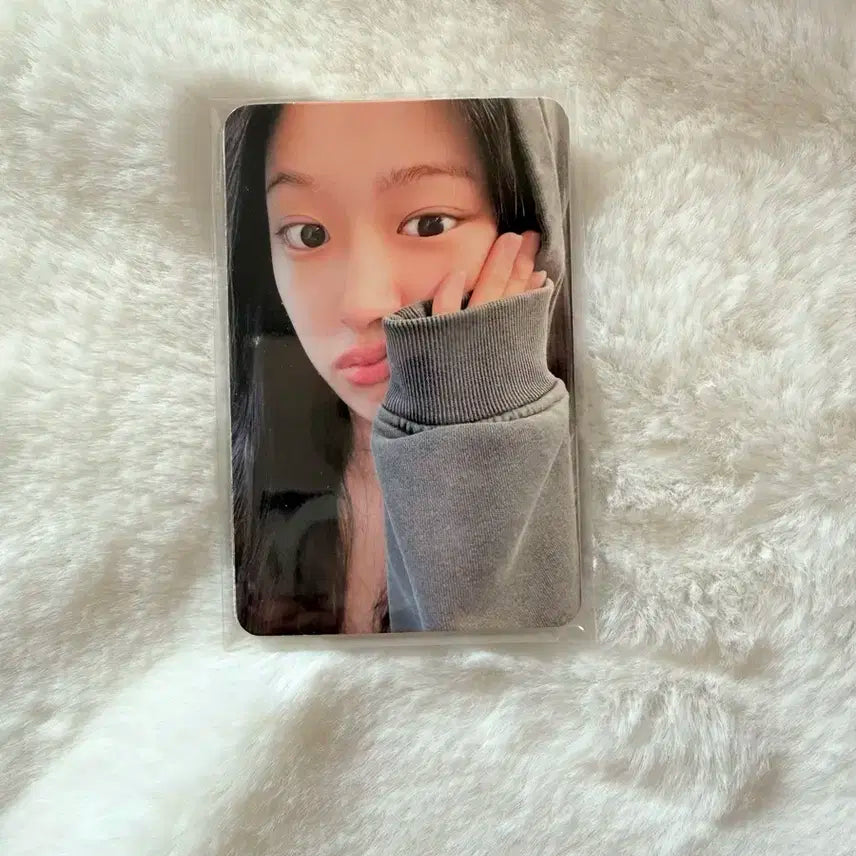 아이브 다이브존 2일차 포카 셋트