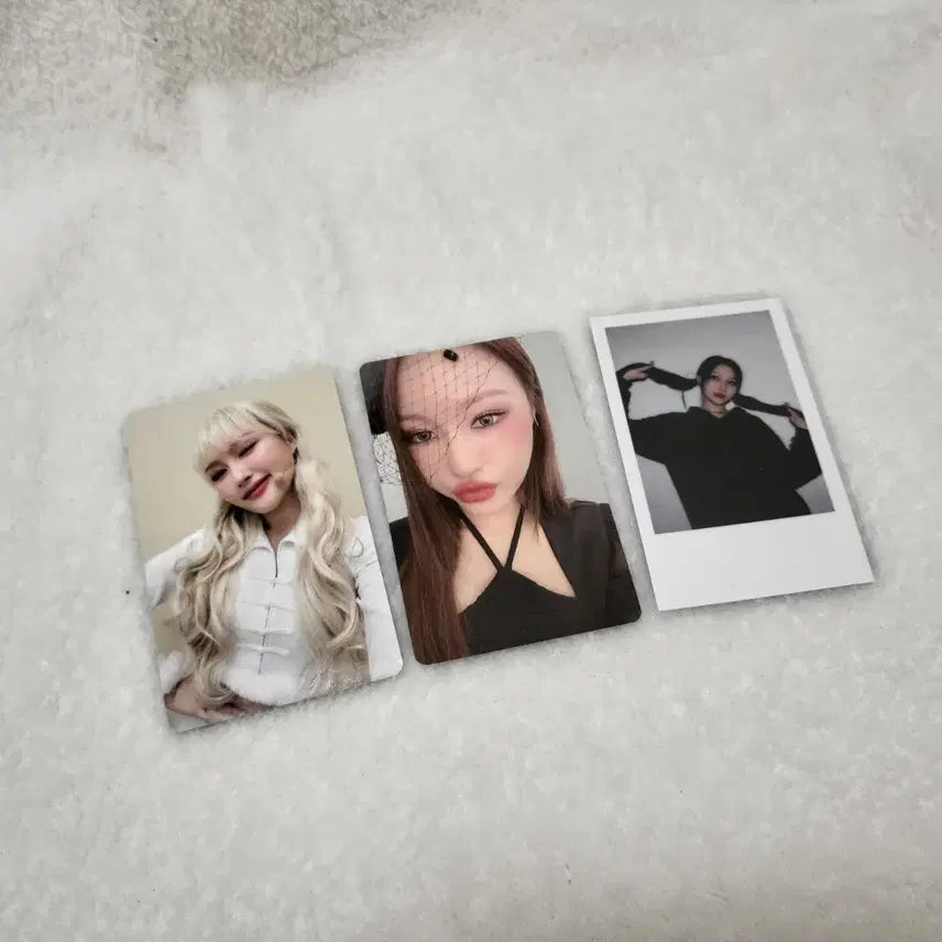 드림캐쳐 할로윈 시연 포카&폴라 dreamcatcher