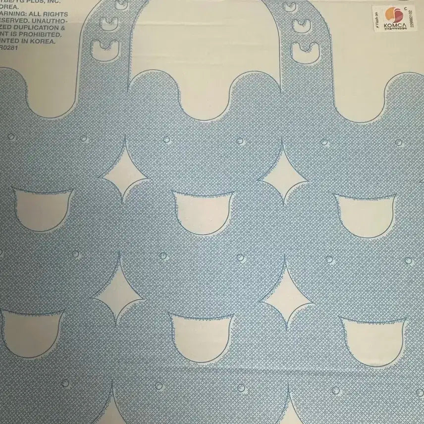 뉴진스 버니비치백 하니 앨범