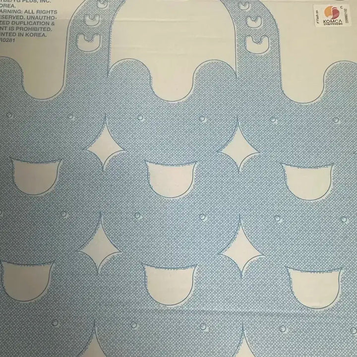 뉴진스 버니비치백 하니 앨범