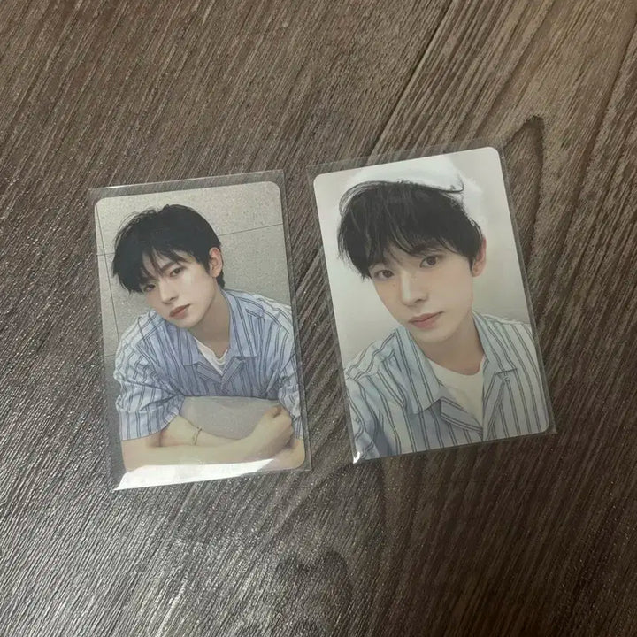 (일괄)엔시티 위시 2025 시즌 그리팅 포토 세트 포카 유우시