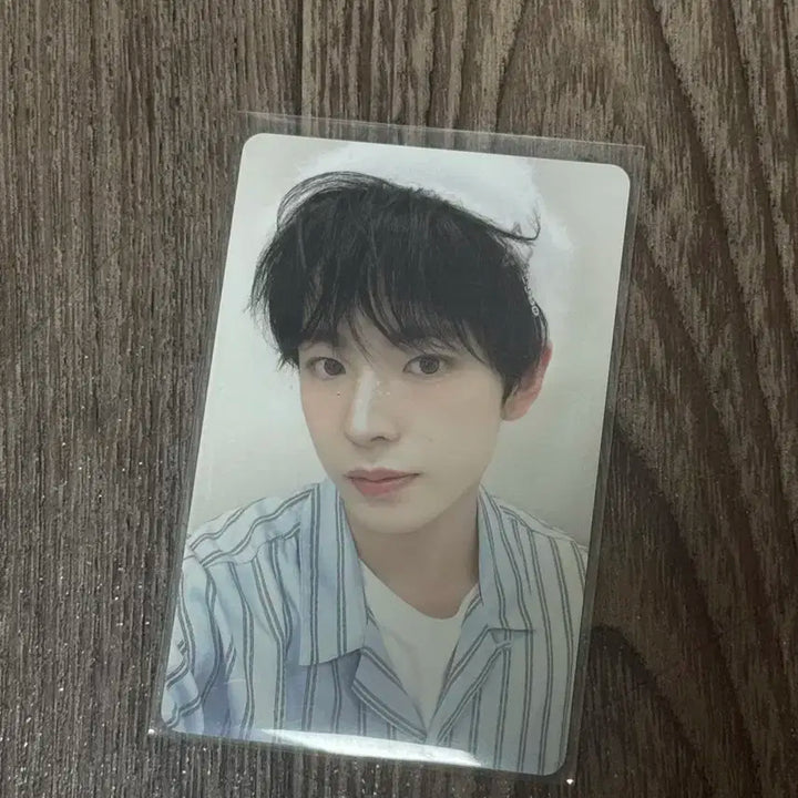 (일괄)엔시티 위시 2025 시즌 그리팅 포토 세트 포카 유우시