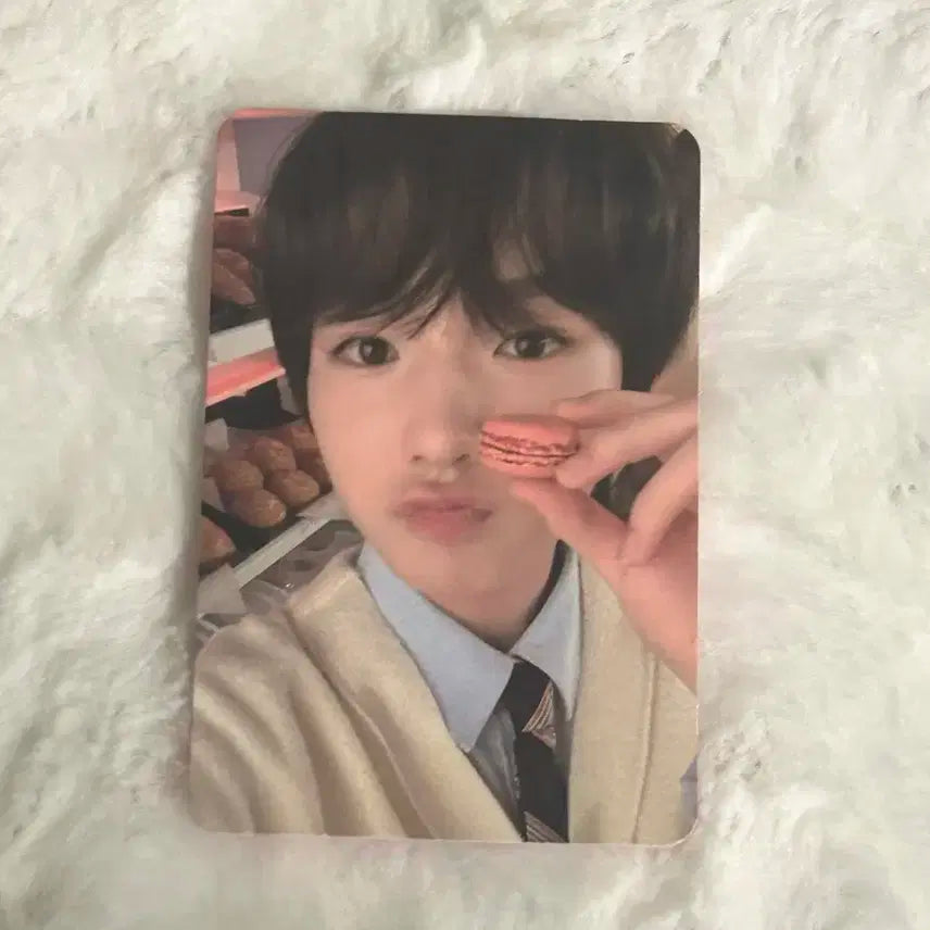 엔시티위시 사쿠야 슴스토어 sm store 미공포 포카 럭드