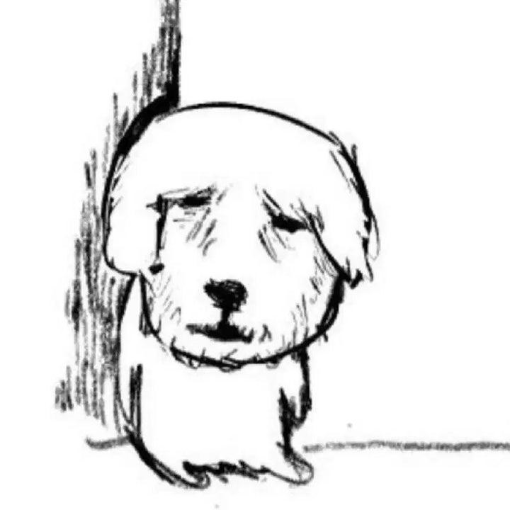 현진 앙콘 스키즈 엠디 4만원 특전 스키즈 스트레이키즈 포카 오프라인