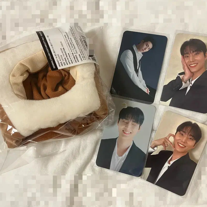 데이식스 포에버영 전투 전국투어 식빵 코스튬 로이비 영케이포카 일괄