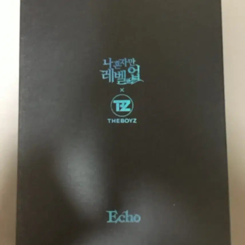 더보이즈 나혼자만레벨업 구성 전부 O