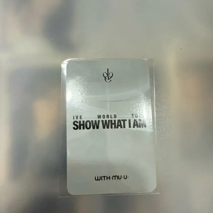 아이브 리즈 포카 콘서트