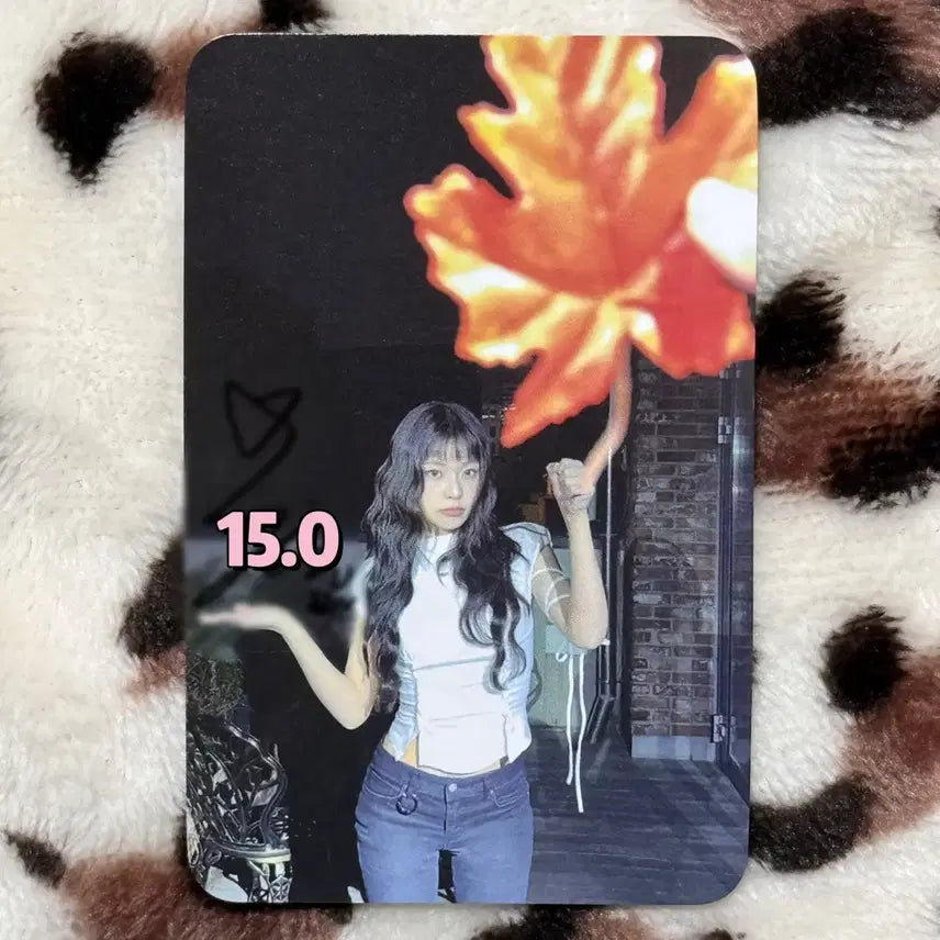 엔믹스 241106 마뮤테 영통 규진 싸인 포카 양도합니다! 싸포 싸폴