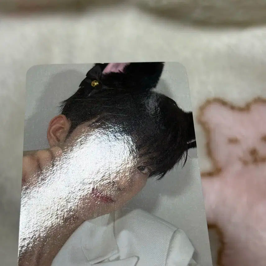 더보이즈 큐 에버라인 고양이 비어웨이크 로어 럭드 포카 미공포