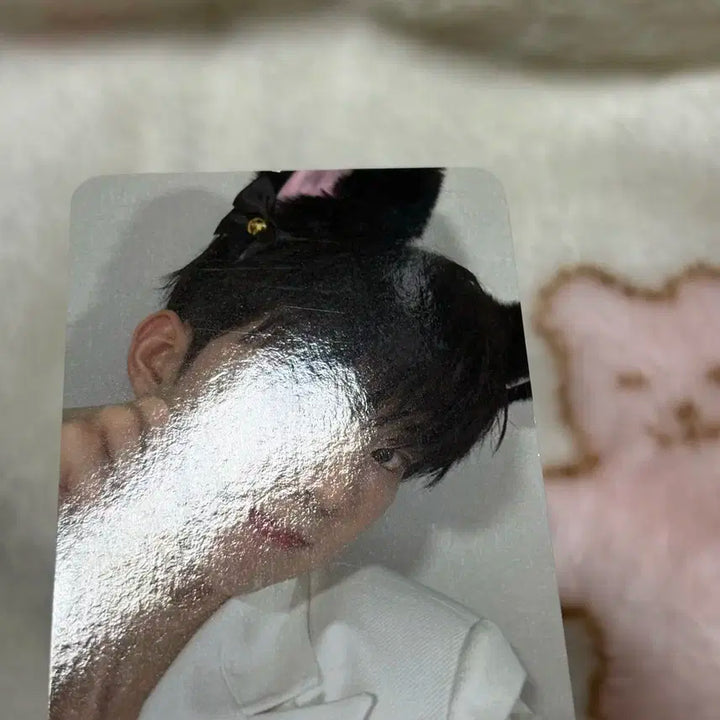 더보이즈 큐 에버라인 고양이 비어웨이크 로어 럭드 포카 미공포