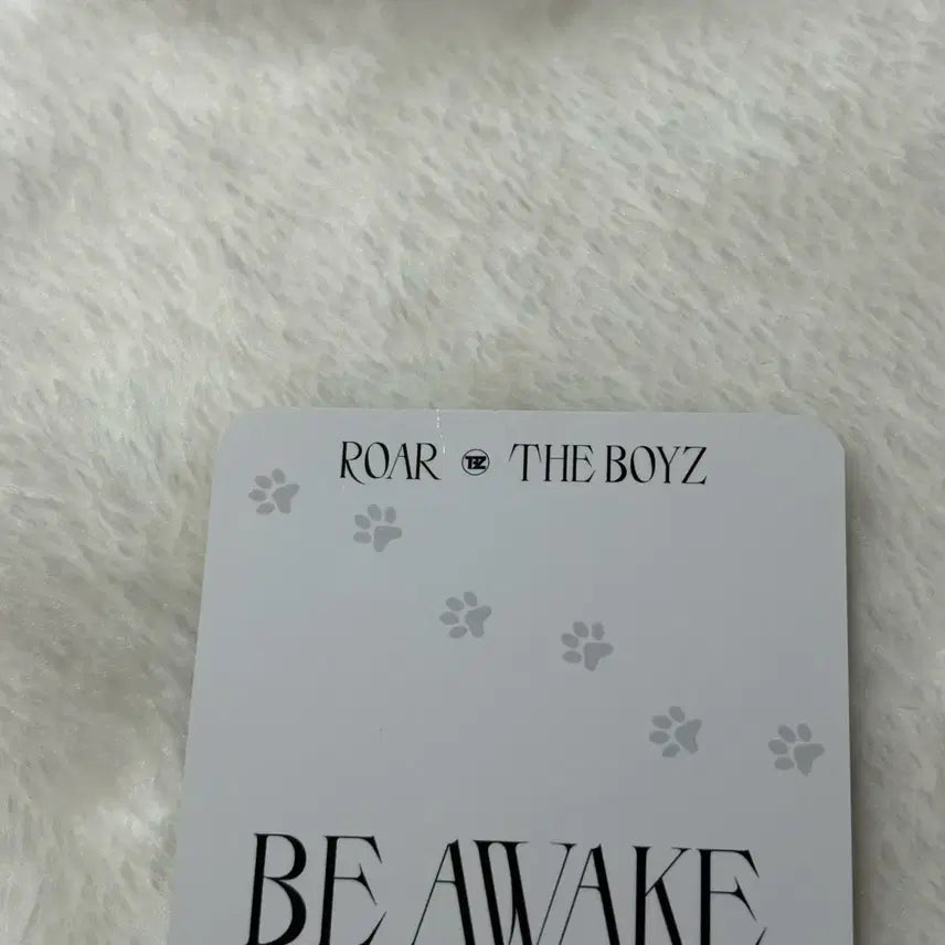 더보이즈 큐 에버라인 고양이 비어웨이크 로어 럭드 포카 미공포