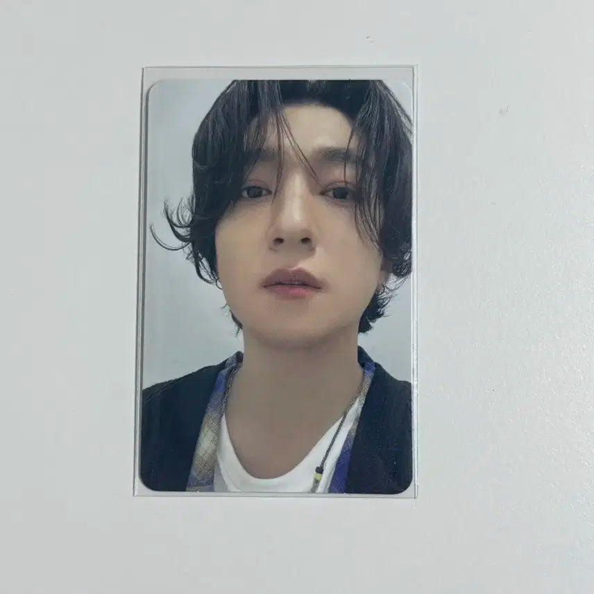 벚꽃콘 웰쇼콘 성진 입장포카