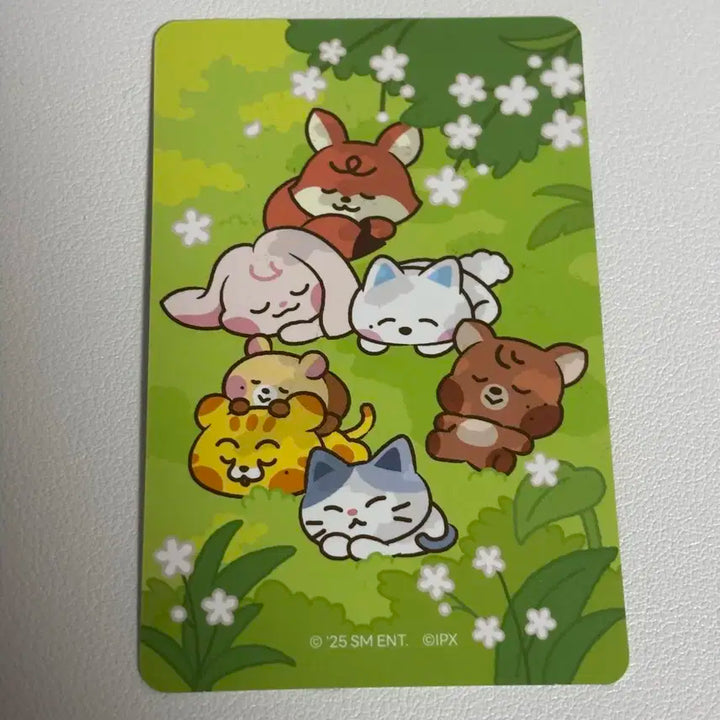 드리미즈 트레카 런쥔 지성 포카