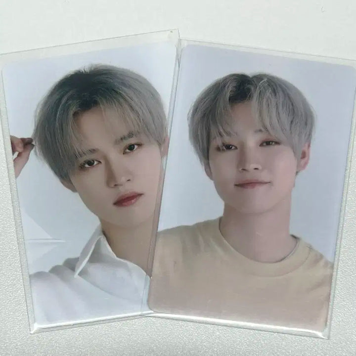 엔시티 드림 드림바이브 천러 입장권 포카 폴라로이드 일괄 양도