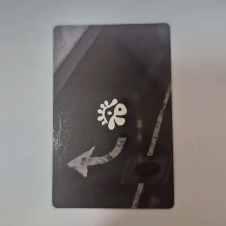 코르티스 cortis 성현 포카 앨포 scene 2 ver.