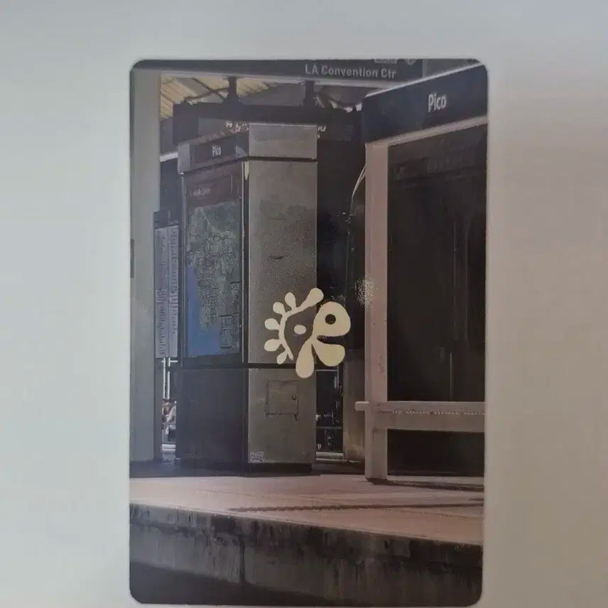 코르티스 cortis 주훈 앨포 포카 scene ver 1.