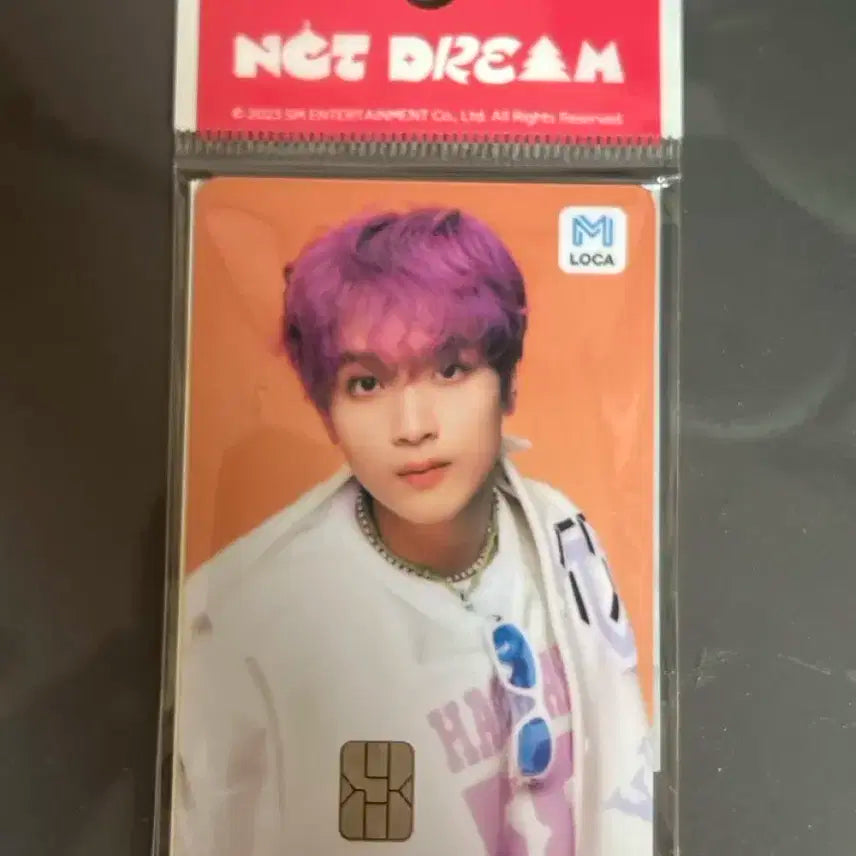 엔시티드림 해찬 교통카드