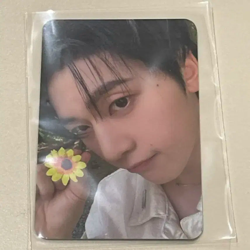 제로베이스원 석매튜 미공포 뮤직코리아 꽃 포토카드 포카 제베원