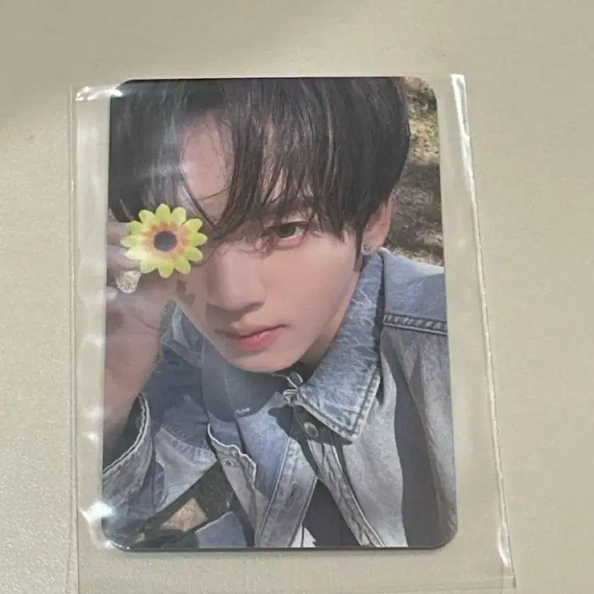 제로베이스원 한유진 미공포 뮤직코리아 꽃 포토카드 포카 제베원