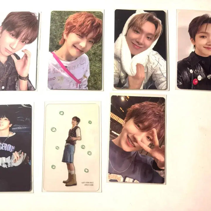 보이넥스트도어 포토카드 일괄