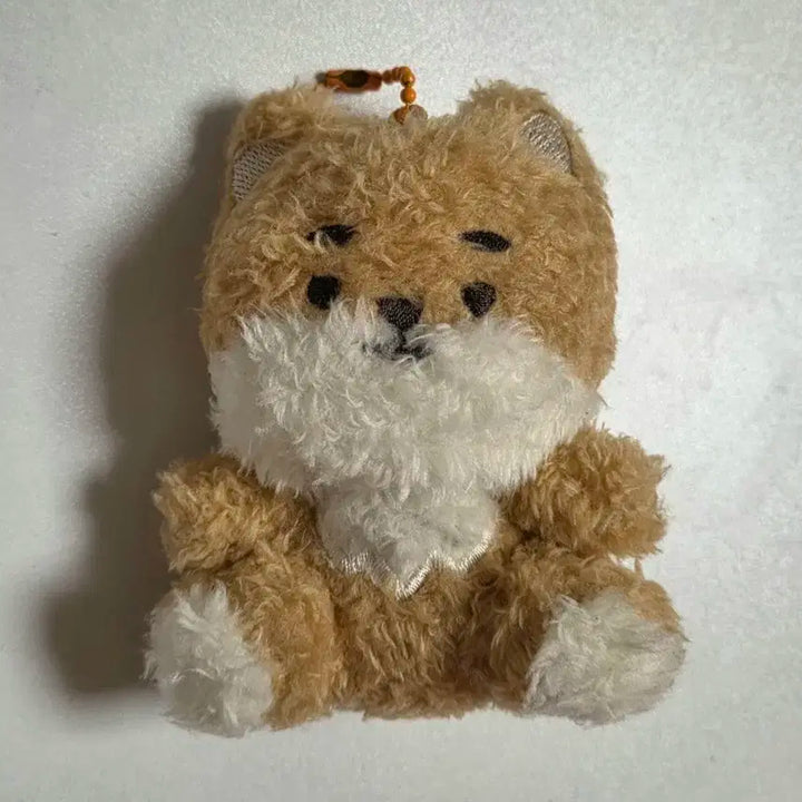 데이식스 영케이 키링 케 데니멀즈 앉은멀즈 쁘띠멀즈