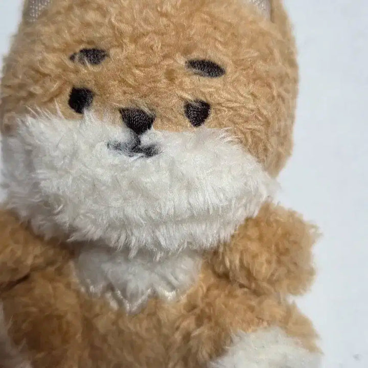 데이식스 영케이 키링 케 데니멀즈 앉은멀즈 쁘띠멀즈