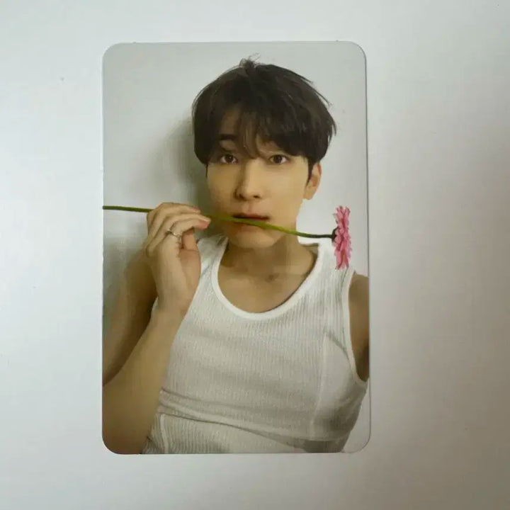 세븐틴 베스트 앨범 캐럿반 원우 양도 특전 포함 풀구성