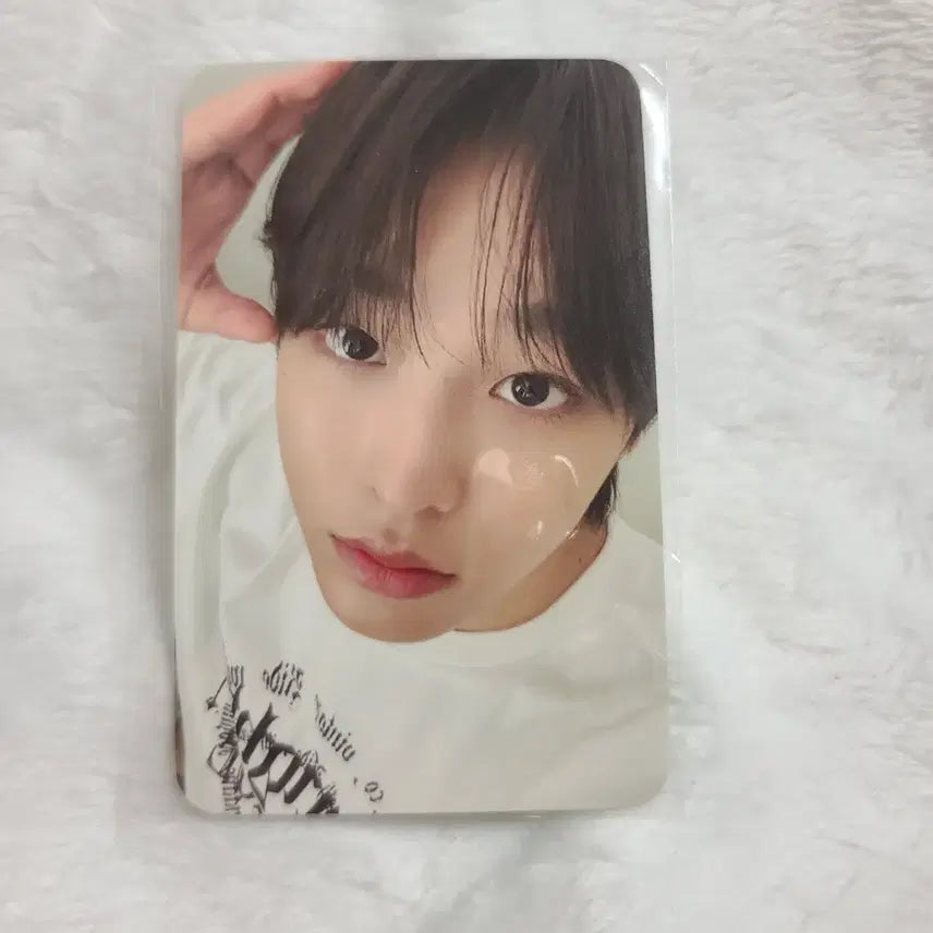 엔시티위시 에버랜드 에버위시 입장포카 리쿠 포토카드