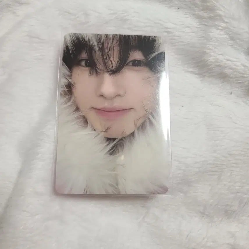 엔시티위시 컬러 사쿠야 미공포 미라클 포카 양도 포토카드