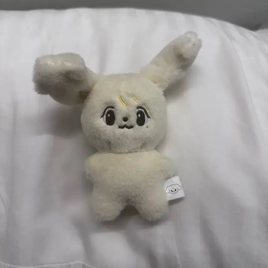 정아지 엔시티 정우 인형 양도