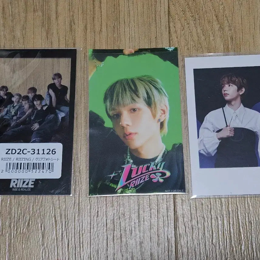 라이즈 쇼타로 포토카드 일괄