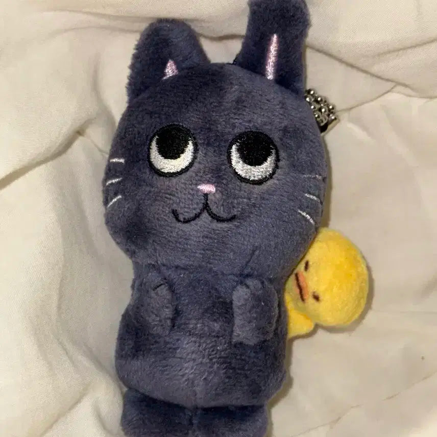 라이즈 원빈 토냥덕 양도