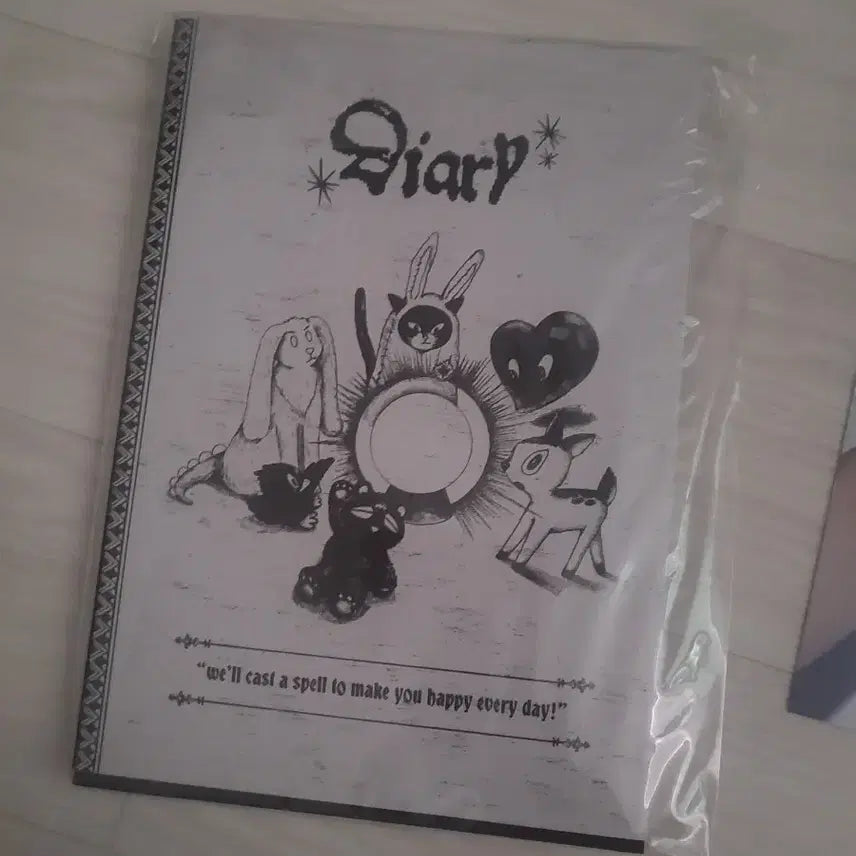 라이즈 시그 25 다이어리