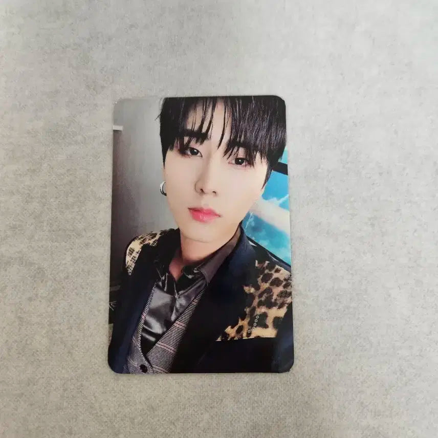 데이식스 영케이 영현 행날 호피 포카