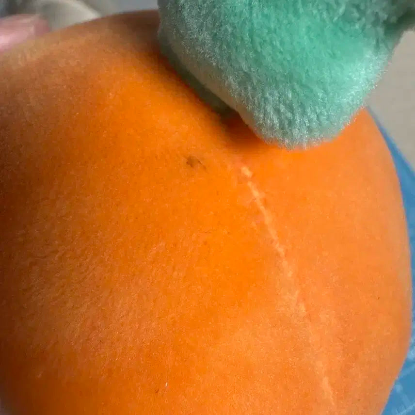 엑소 세훈 인형 당근세니 양도