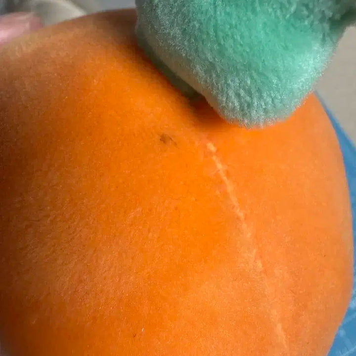 엑소 세훈 인형 당근세니 양도