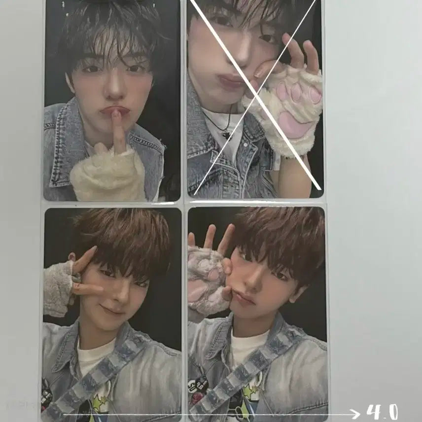 보플 포카 정상현 강우진 전이정 양도