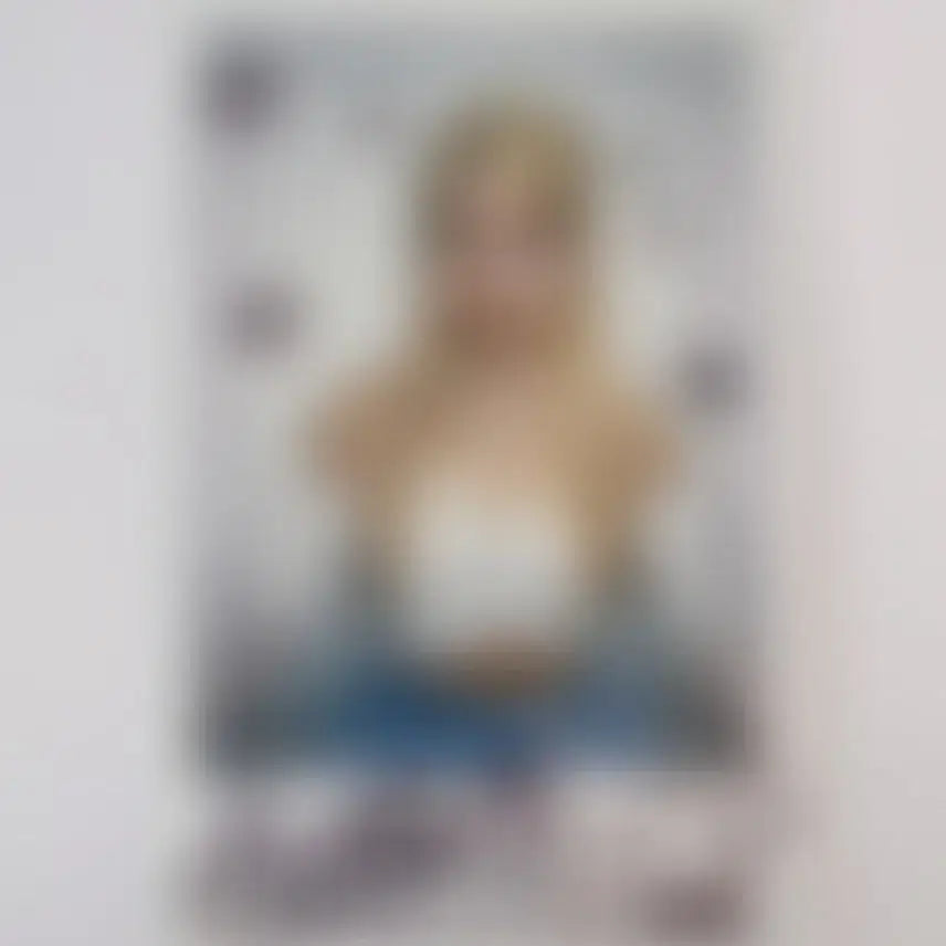 아일리원 아라 싸폴 양도