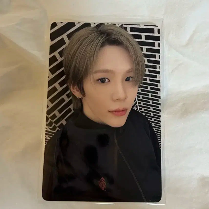 라이즈 쇼타로 이즈위 포카