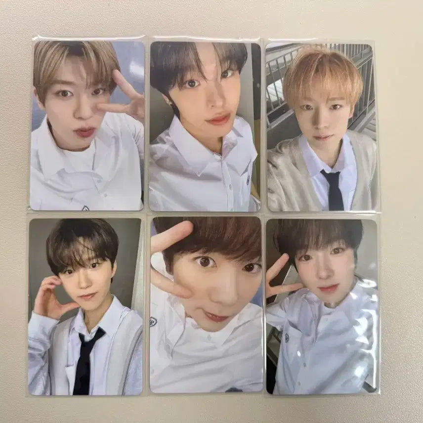 엔시티위시 스쿨오브위시 스옵위 입장 포카 양도