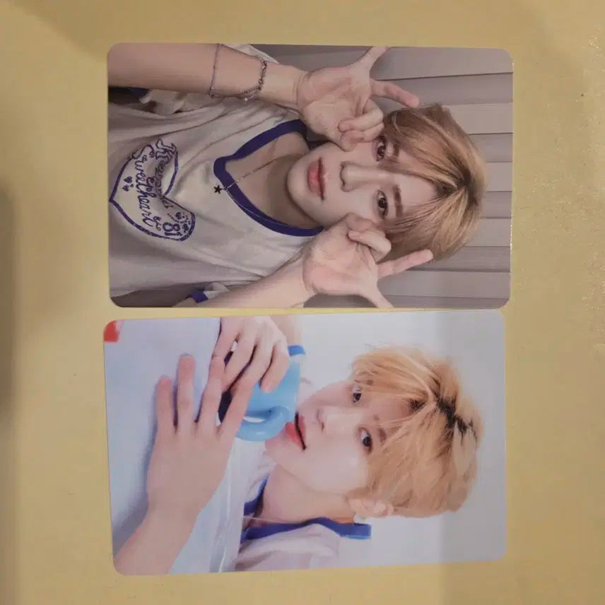 엔시티위시 시그 트레카 시온 일괄