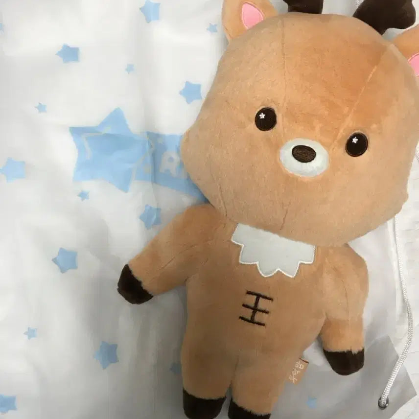 라이즈 40cm 대왕 우락밤