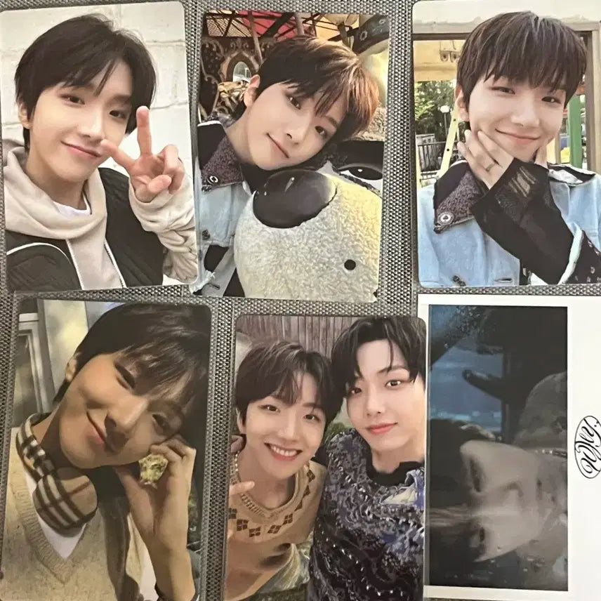 보이넥스트도어 보넥도 운학 who why 포카 일괄 양도