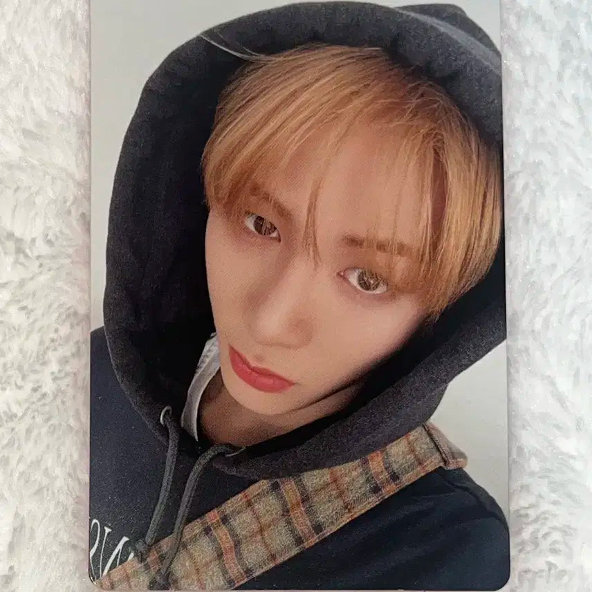 노장르 태산 보넥도 보이넥스트도어 포카