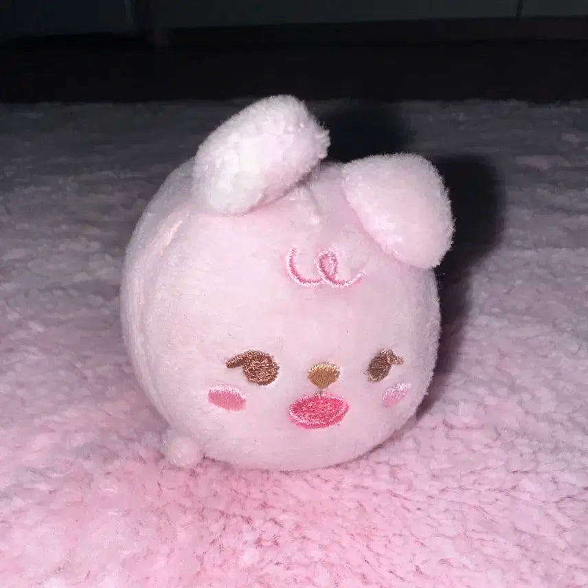 데이식스 원필 쁘띠멀즈 필 사족보행 인형 양도