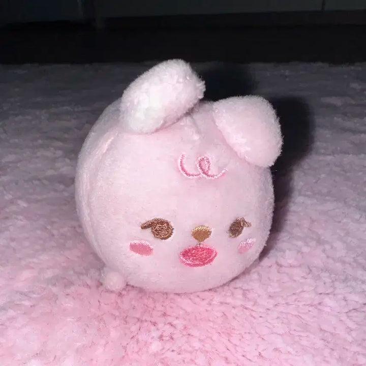 데이식스 원필 쁘띠멀즈 필 사족보행 인형 양도