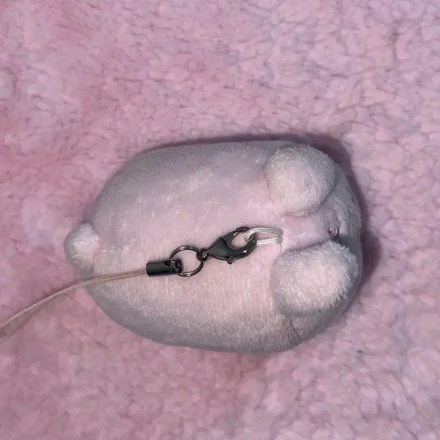 데이식스 원필 쁘띠멀즈 필 사족보행 인형 양도