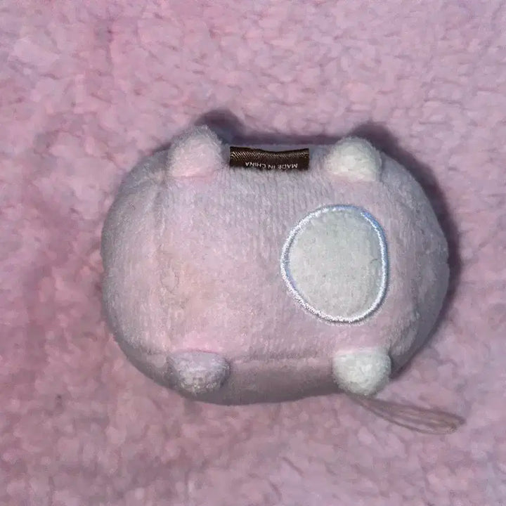 데이식스 원필 쁘띠멀즈 필 사족보행 인형 양도