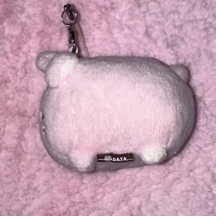 데이식스 원필 쁘띠멀즈 필 사족보행 인형 양도